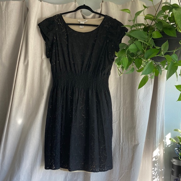 American Rag Black Lace Dress 2x - Picture 1 of 7